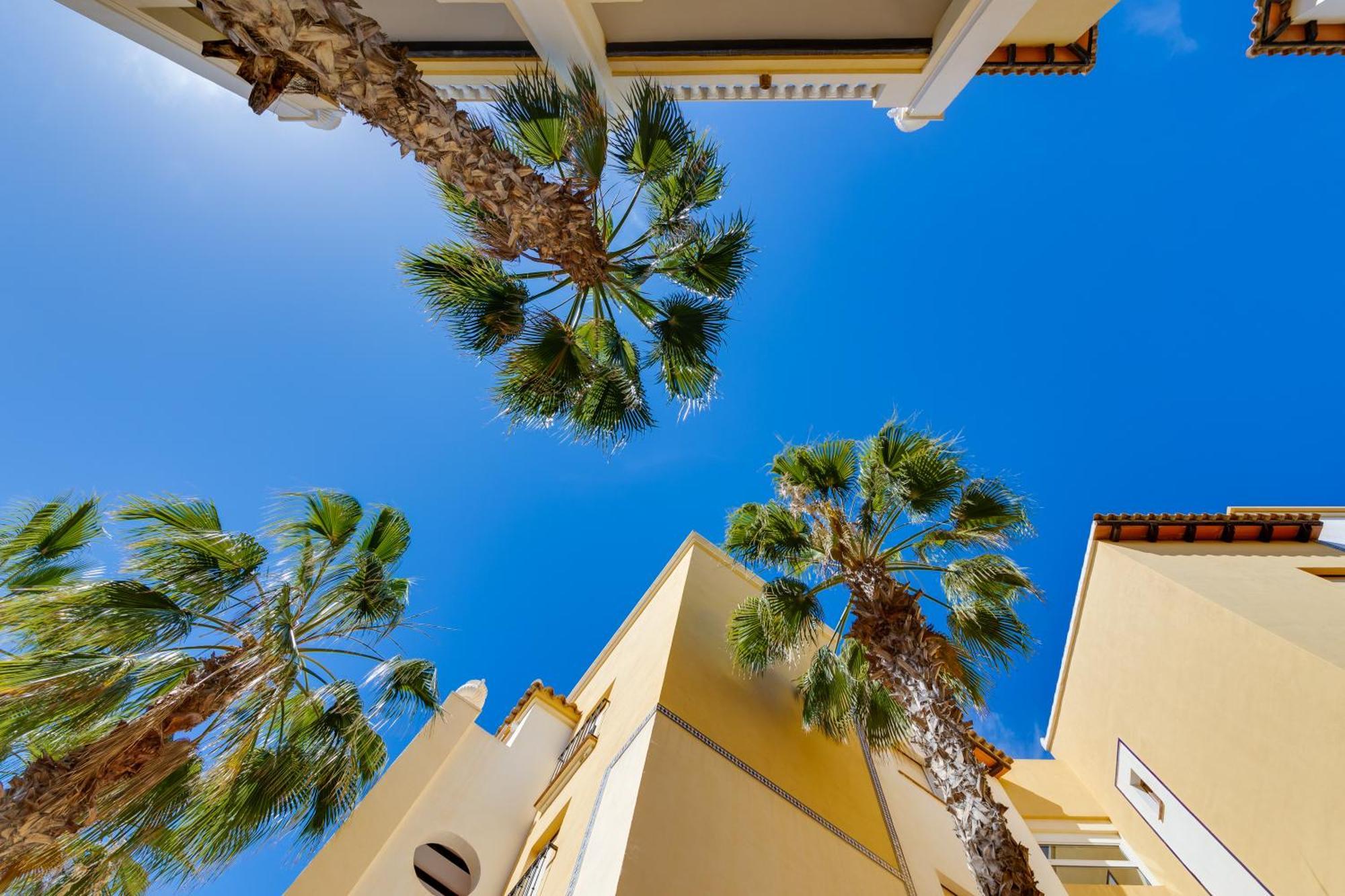Premium Apartment Beach Aldea Del Mar Torrevieja Zewnętrze zdjęcie